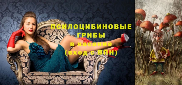 ГАЛЛЮЦИНОГЕННЫЕ ГРИБЫ Балабаново