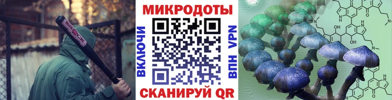 Галлюциногенные грибы GOLDEN TEACHER  сколько стоит  Ленинск 